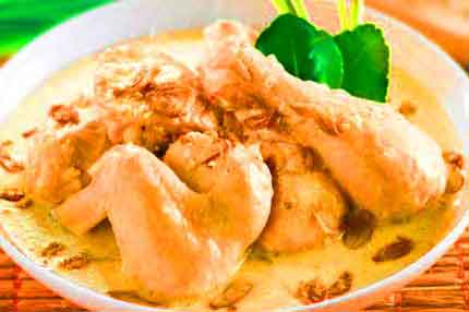 Ayam Opor