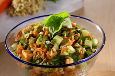 Trancam Sayur Dan Tahu