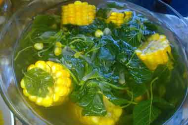 Sayur Bening Katuk Bumbu Kencur